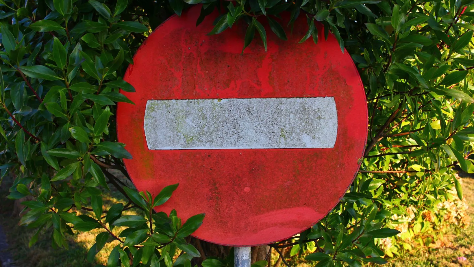 Koniec z zakazem fotografowania